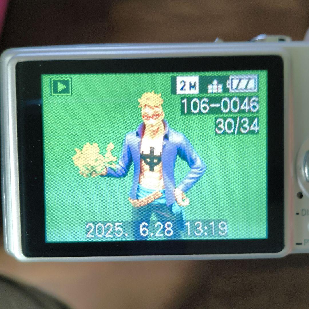 【動作確認済】Panasonic パナソニック LUMIX DMC-FX8