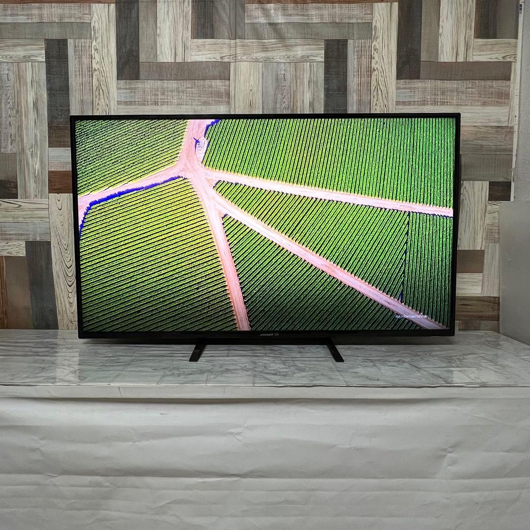 即日受渡❣️全国送料込ジャパンネクスト50型4K液晶モニターブルーライト軽減