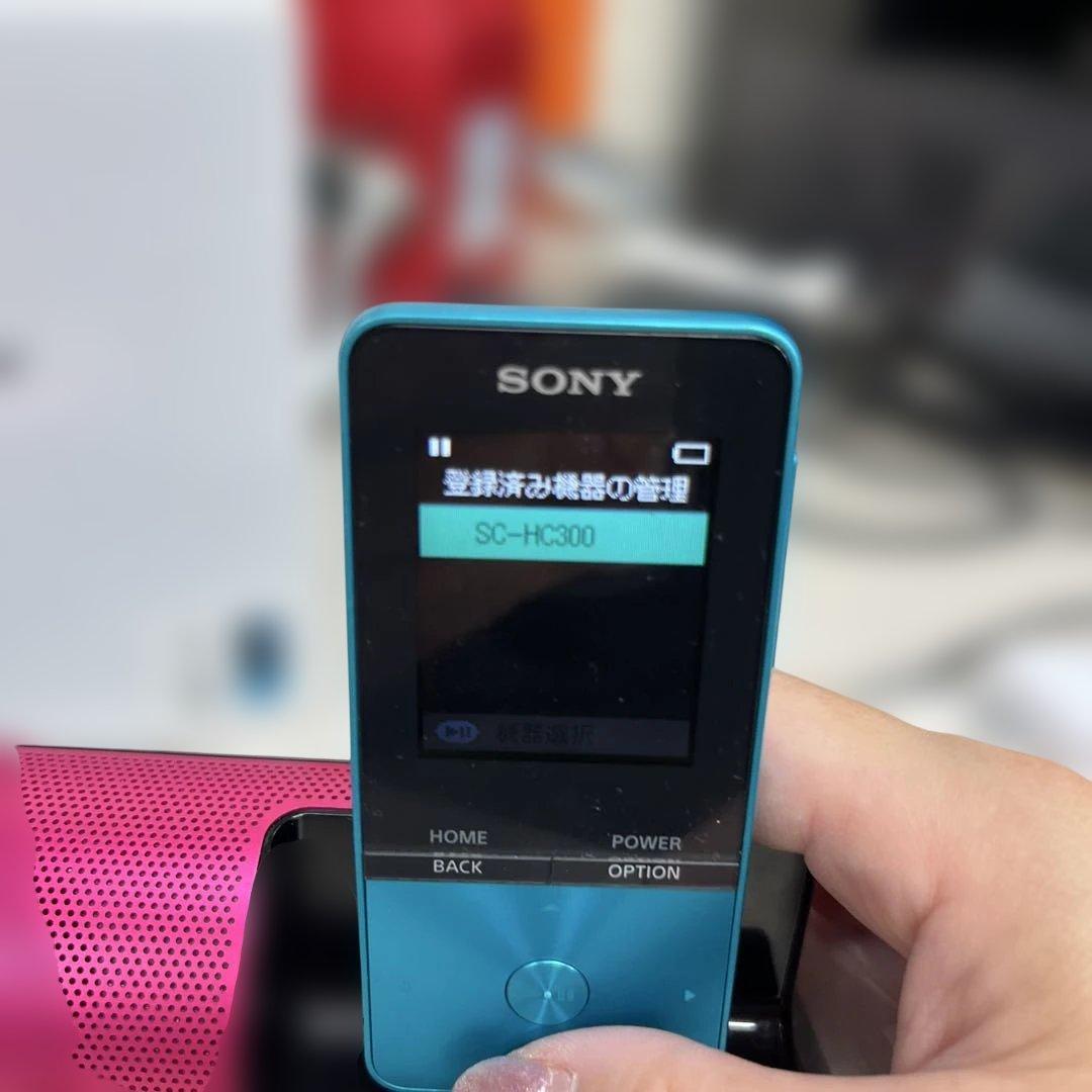 SONY ウォークマン NW-S315 ブルー 16GB