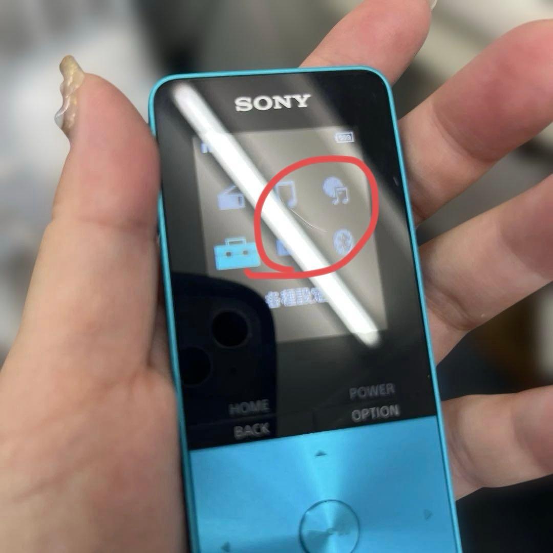 SONY ウォークマン NW-S315 ブルー 16GB