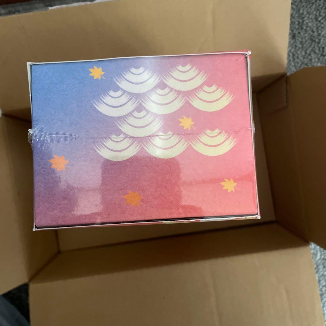 スペシャルBOX ポケモンセンター　ヒロシマ　新品　未開封シュリンク付き