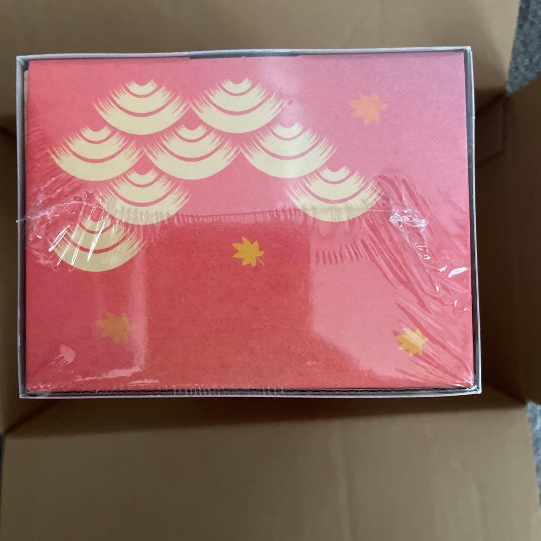 スペシャルBOX ポケモンセンター　ヒロシマ　新品　未開封シュリンク付き