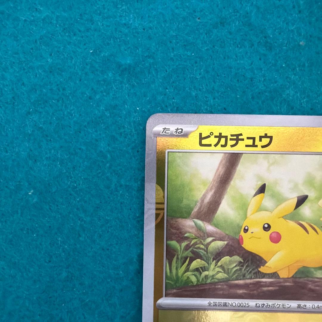 ピカチュウ マスターボールミラー