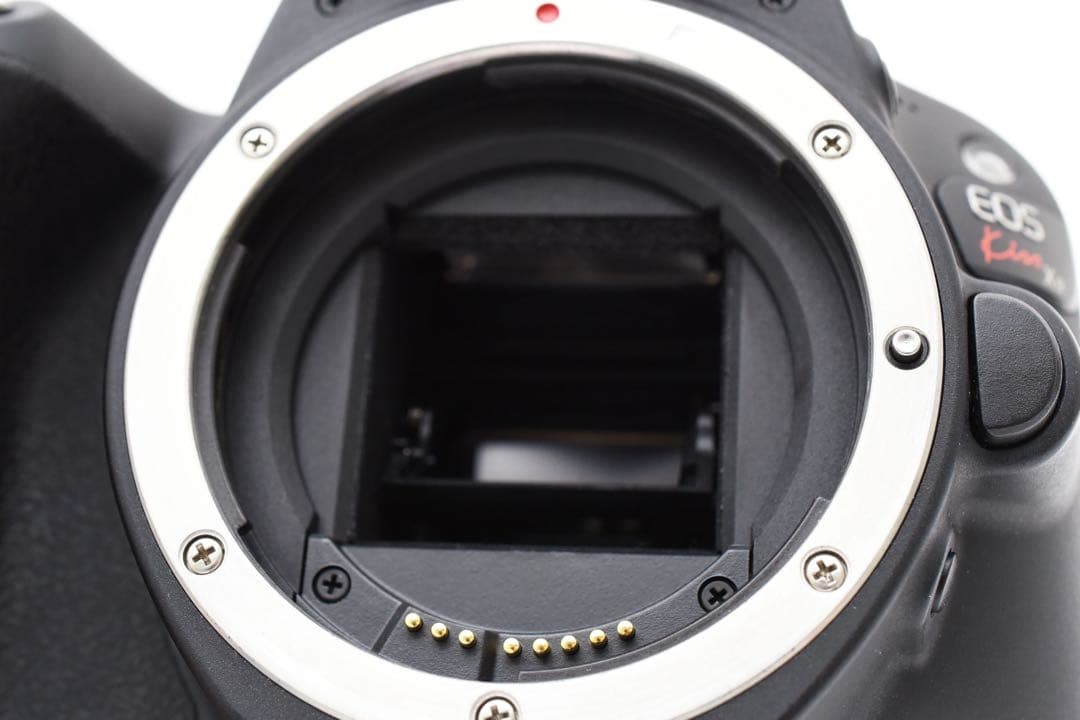 保証付き/一眼レフカメラcanon kiss x9標準&望遠&単焦点レンズセット