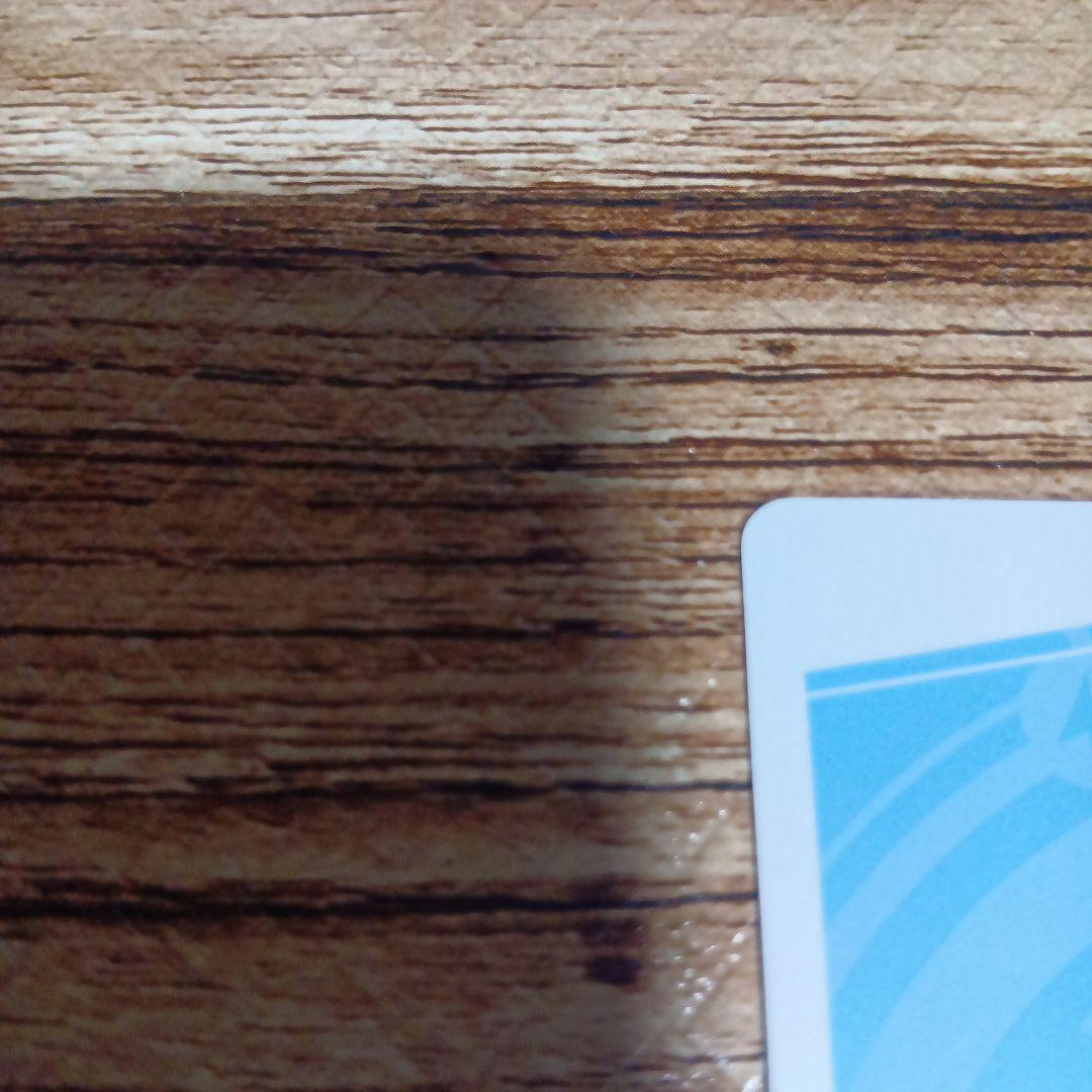 ブルアカ reバース 小鳥遊ホシノ（水着）サイン入り