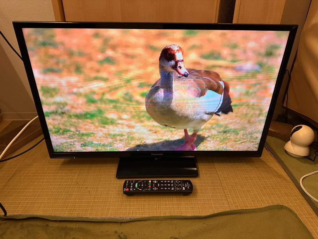 Panasonic　パナソニック 32型 テレビ TH-32G300 2020年