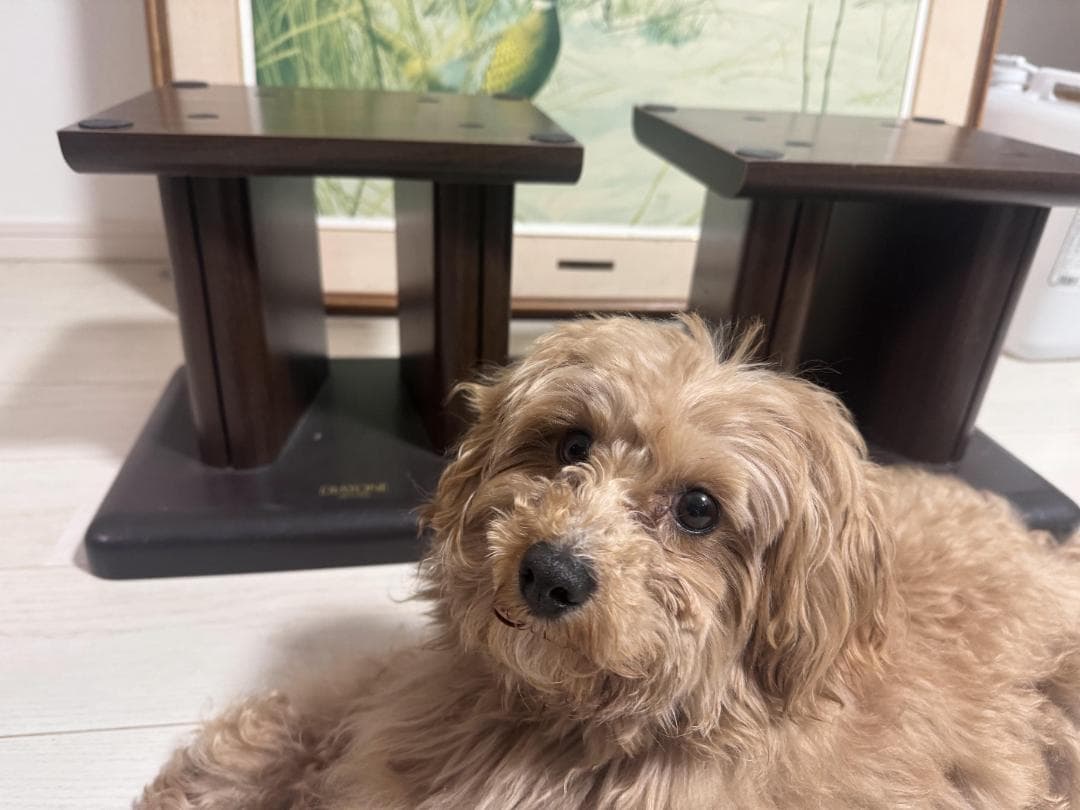 DIATONE DK-77WN スピーカースタンド（ペア）