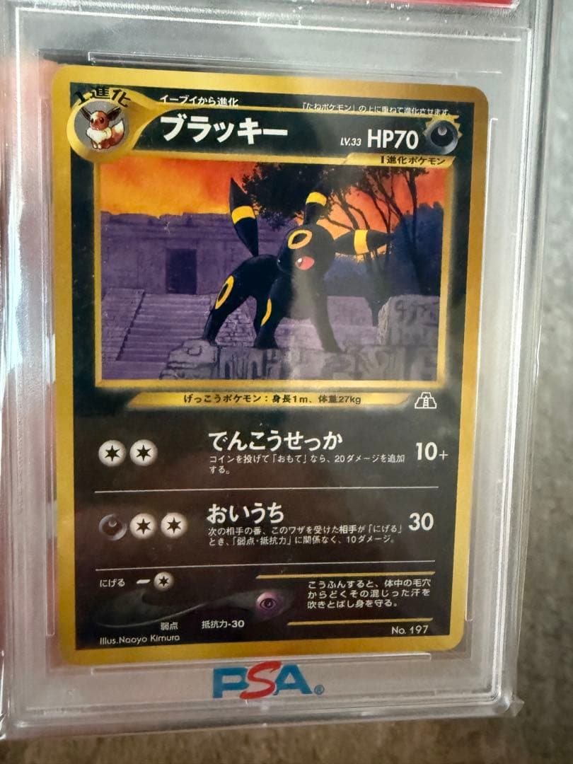 ブラッキー旧裏　プレミアムファイル2 psa10