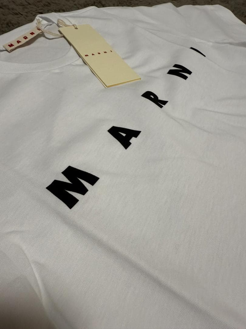 マルニ　キッズTシャツ　14Y 160cm 新品