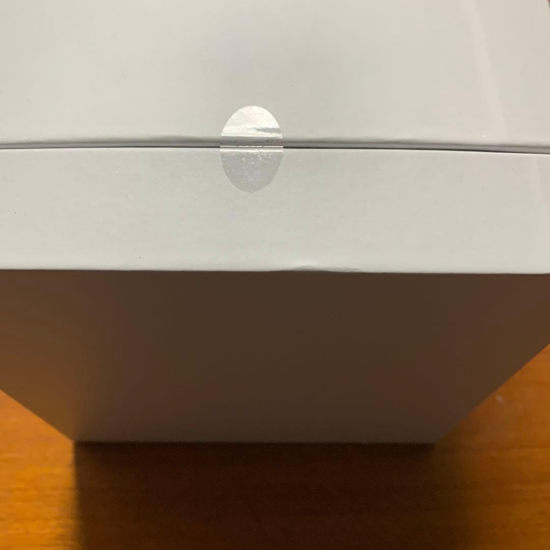 新品　SALONIA ピュア ブライト スチーマー