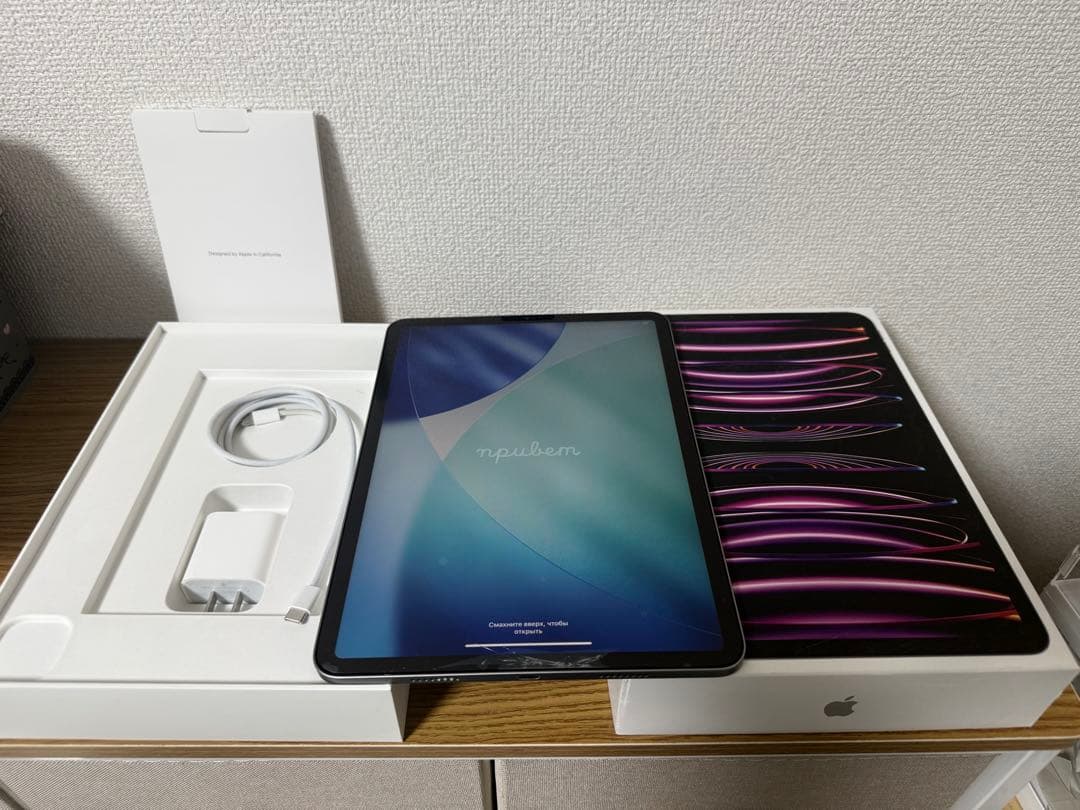 【ジャンク品】iPad Pro 11インチ 第4世代 M2チップ(画面割れ)