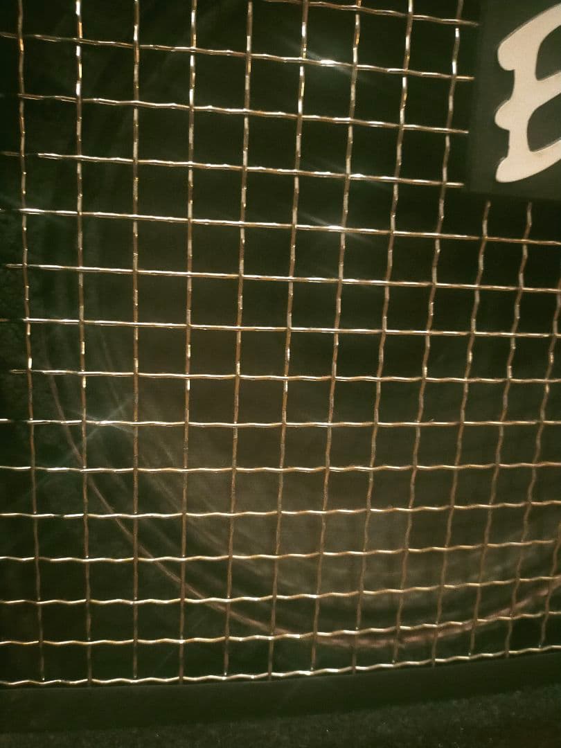 EBS NEO-112 ベース用キャビネット 楽器 動作確認済み 初期不良保証