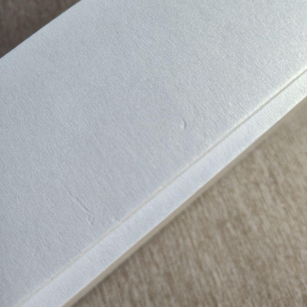 NIPLUX EMS LIFT BRUSH リフトブラシ