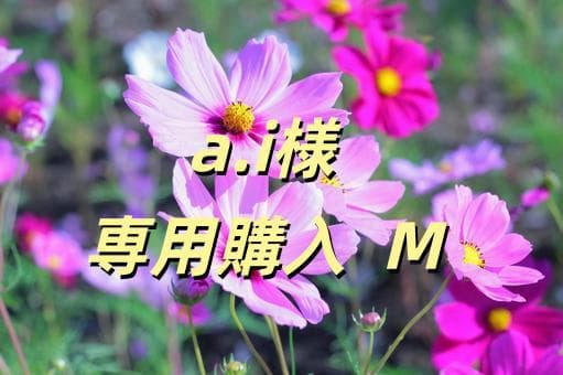 a.i購入 M