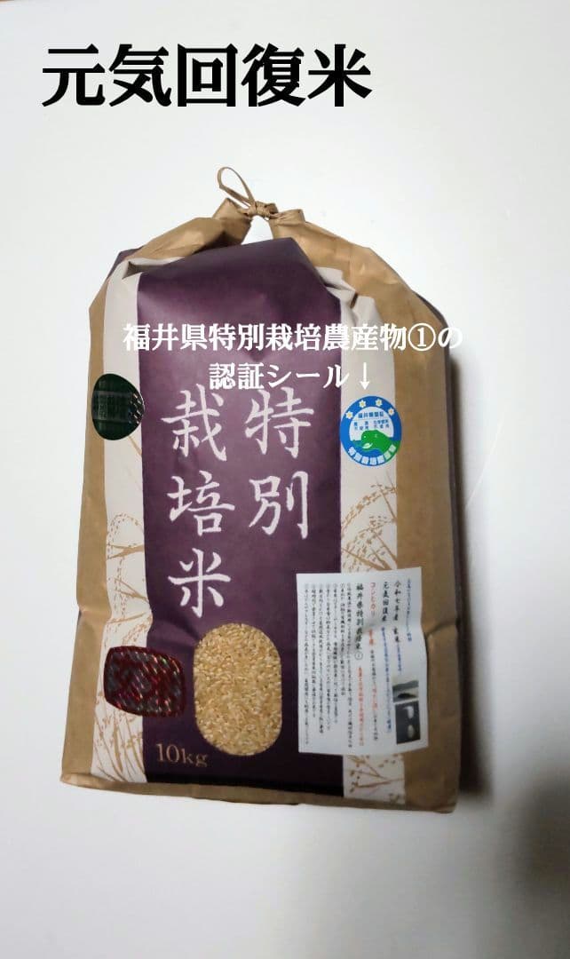 斑点米のカメムシはいない ７年産コシヒカリ玄米10kg 特別栽培① 農薬等不使用