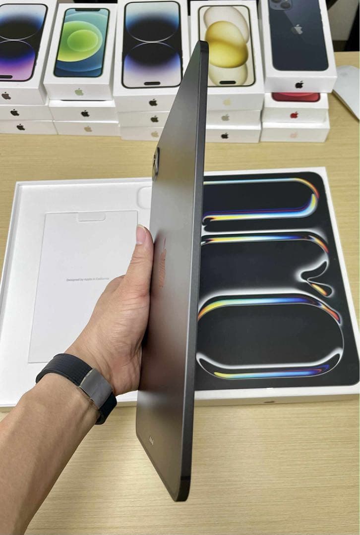 【美品】iPad Pro 11 M4 WiFi+Cellular 512GB