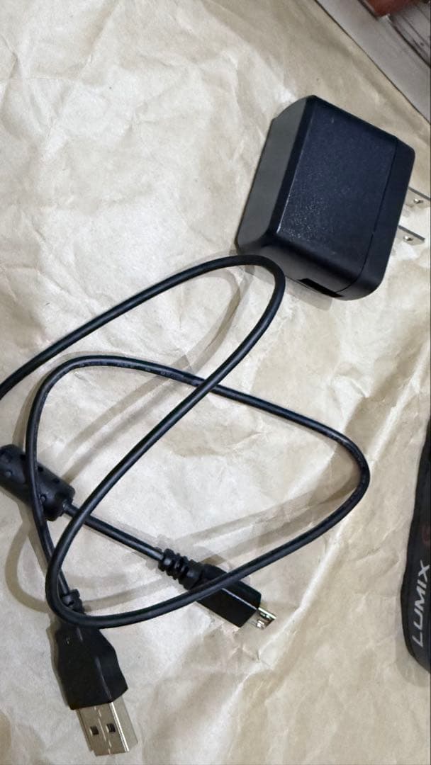 ほぼ新品 LUMIX DC-GF10W その他付属品