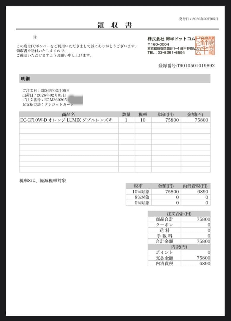 ほぼ新品 LUMIX DC-GF10W その他付属品