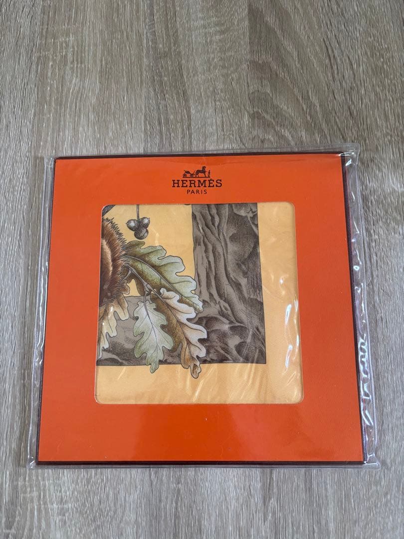 ☆新品☆エルメス　カレスカーフ