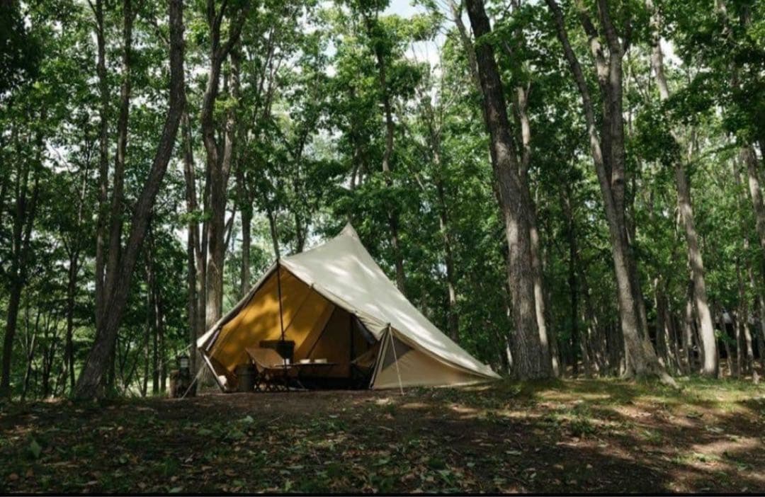 【特別値引（今だけ）】SABBATICAL モーニンググローリーTC