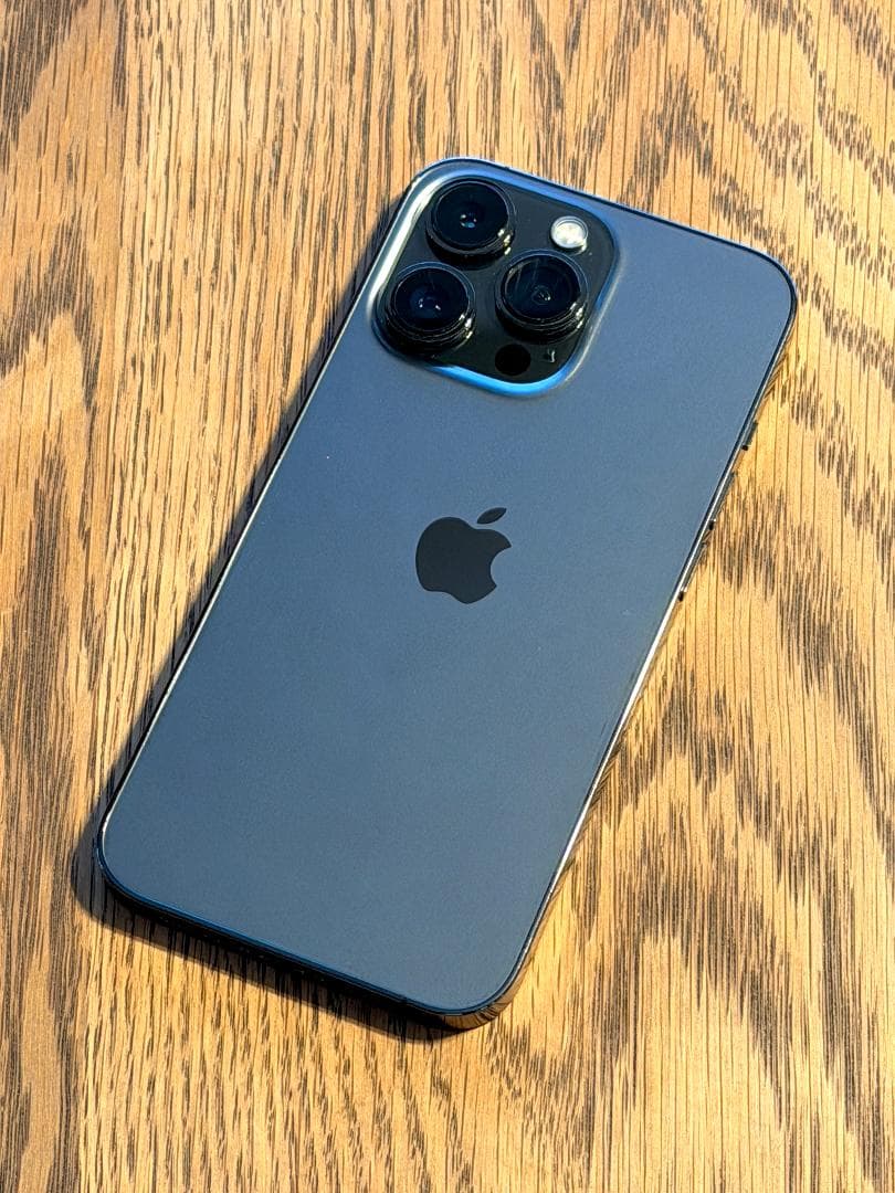 Apple iPhone 13 Pro グラファイト 256GB 本体・ケーブル