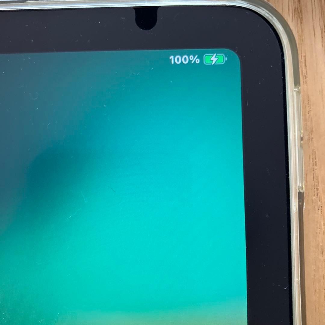 iPad Air (第4世代)Wi-Fi 256GB クリアケース/フィルム付