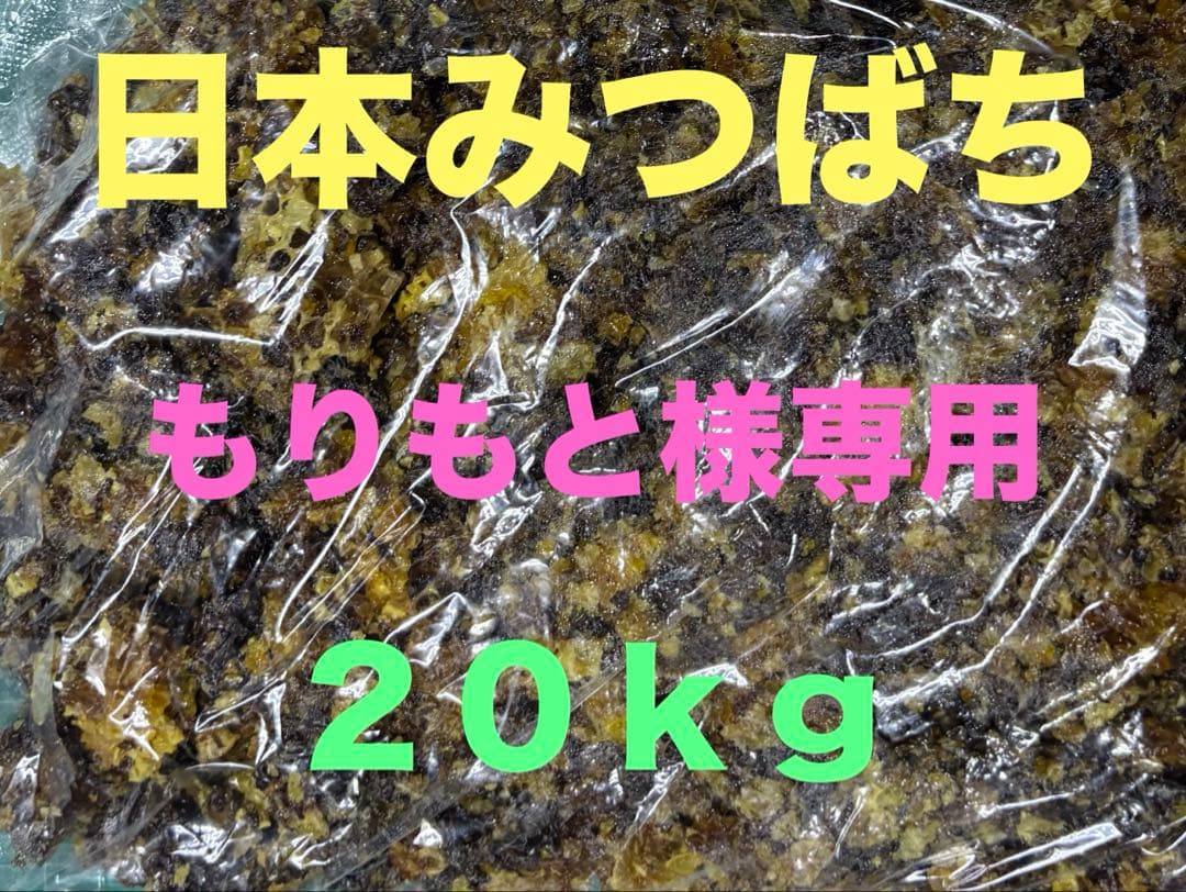 【もりもと】日本ミツバチの巣くず　20kg