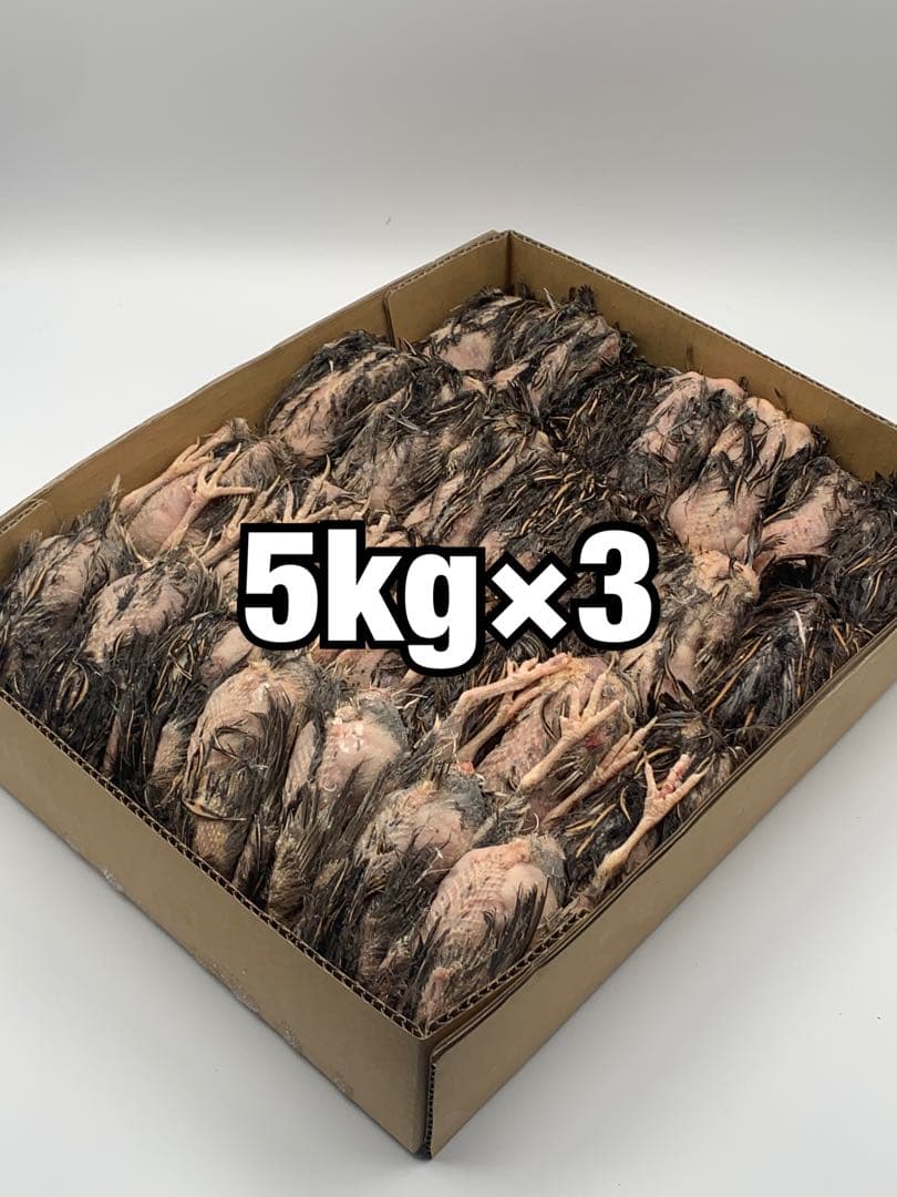 冷凍ウズラ5kg×3段【送料込】