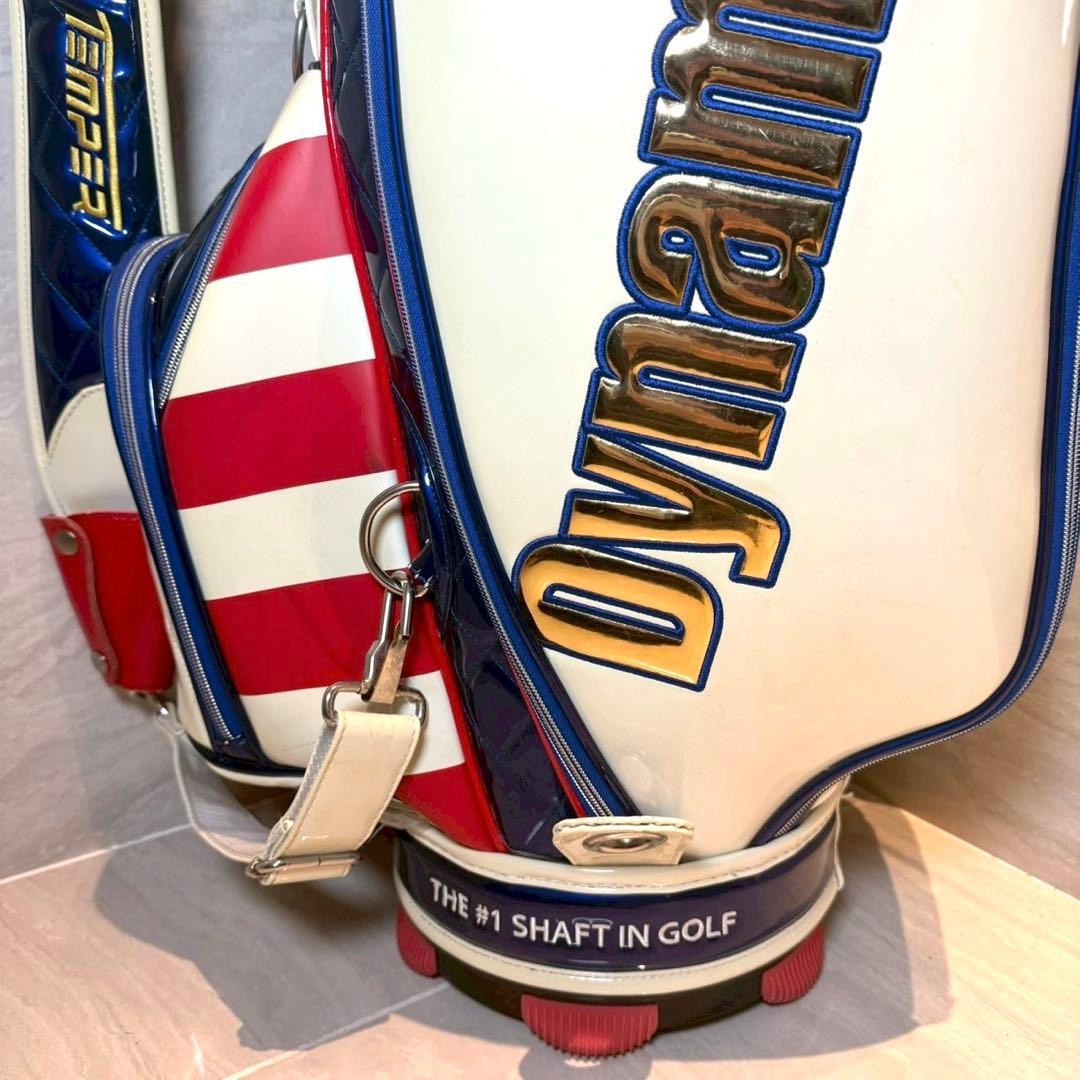 Dynamic Gold TRUE TEMPER ツアーモデル　キャディバッグ