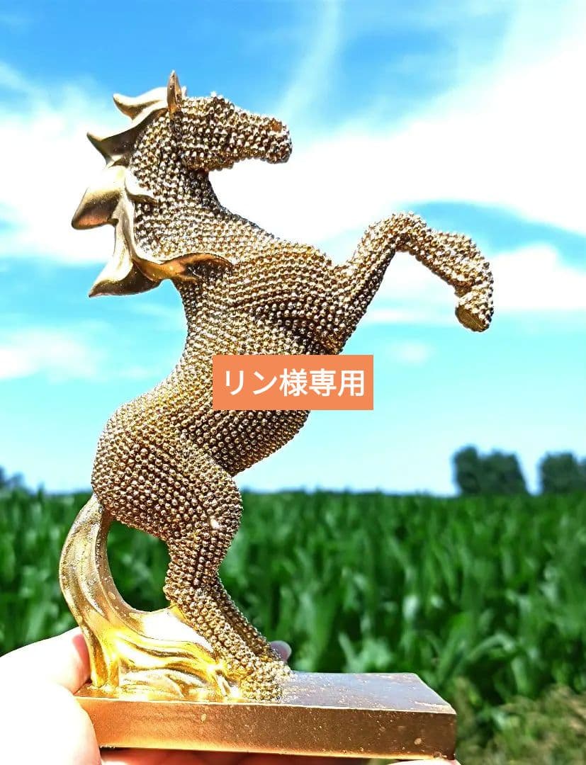 リン　❀金運爆上げ上昇馬❀金龍