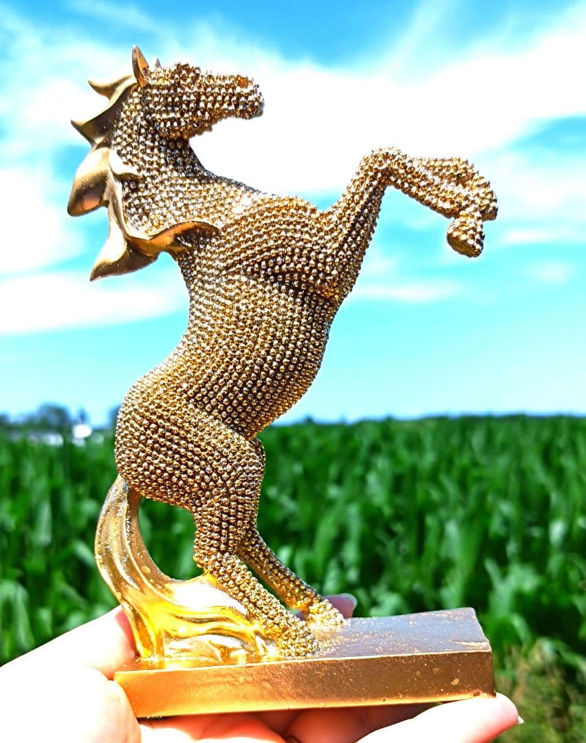 リン　❀金運爆上げ上昇馬❀金龍