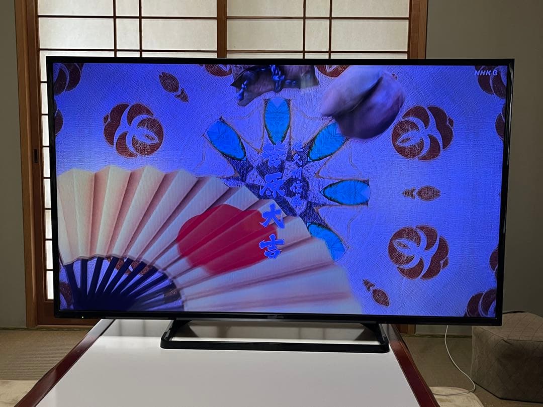 Panasonic TH-49E300 49インチ液晶テレビ【訳あり品】