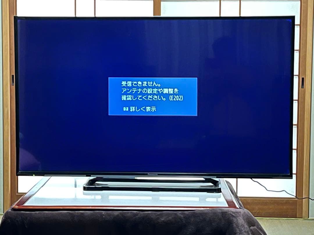 Panasonic TH-49E300 49インチ液晶テレビ【訳あり品】