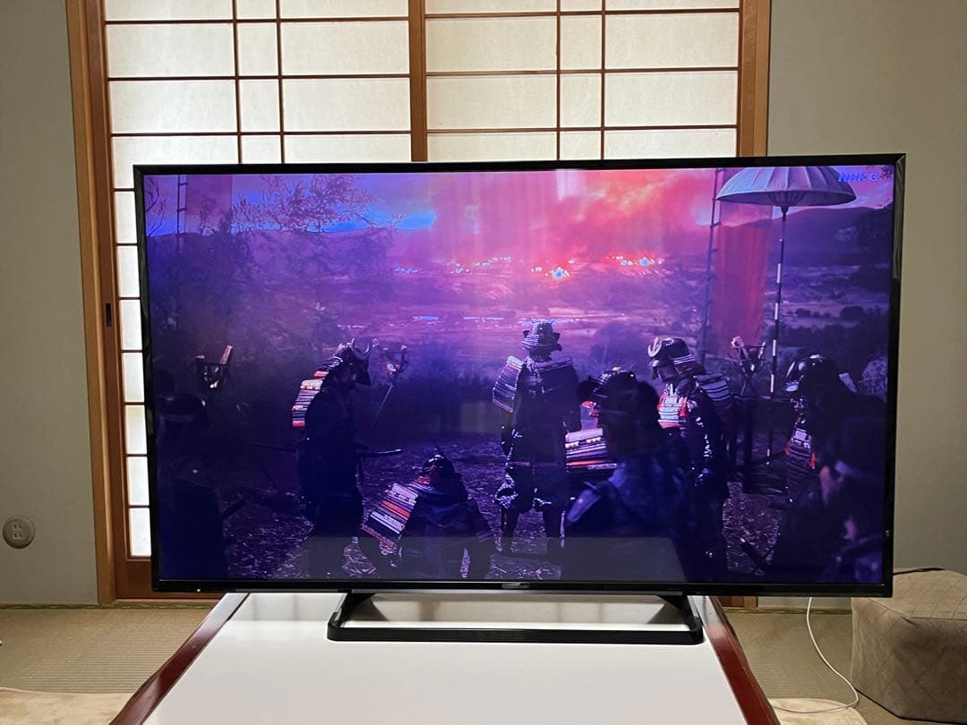 Panasonic TH-49E300 49インチ液晶テレビ【訳あり品】