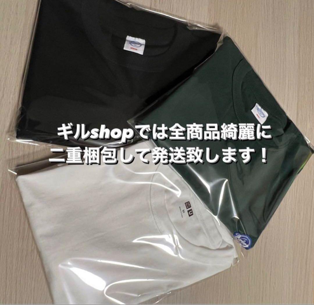 Apple AirPods Pro 第二世代 USB-C