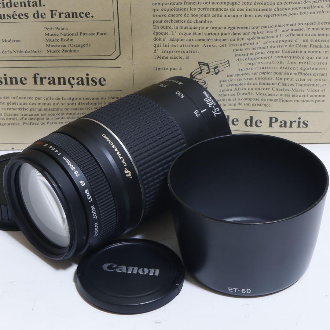◇超望遠&高速AF◇Canon純正 75-300mm Ⅲ型 超望遠レンズ!!◇