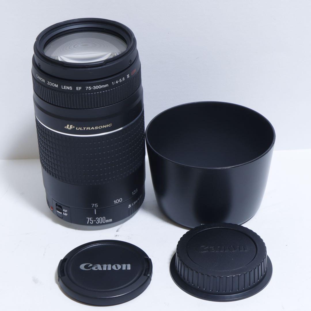◇超望遠&高速AF◇Canon純正 75-300mm Ⅲ型 超望遠レンズ!!◇