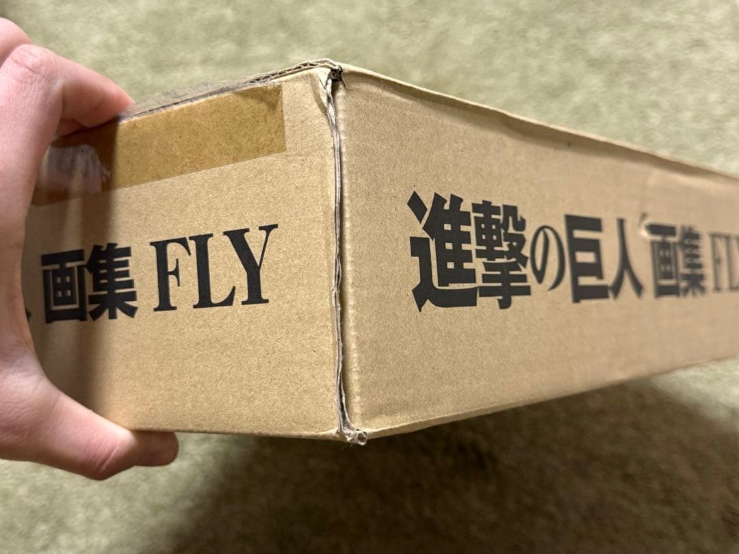 進撃の巨人 画集 FLY 欠品なし