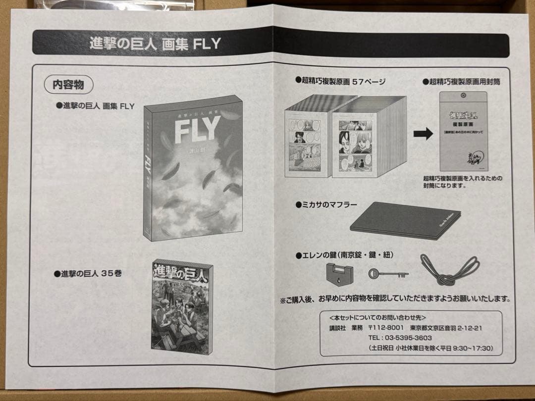 進撃の巨人 画集 FLY 欠品なし