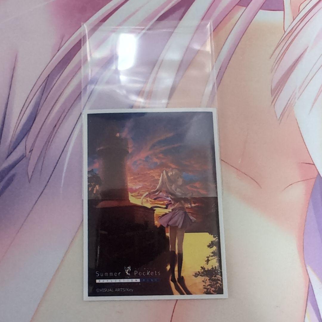 デュエルマスターズ モルトNEXT ドラゴン娘 デッキ まとめ売り 引退品