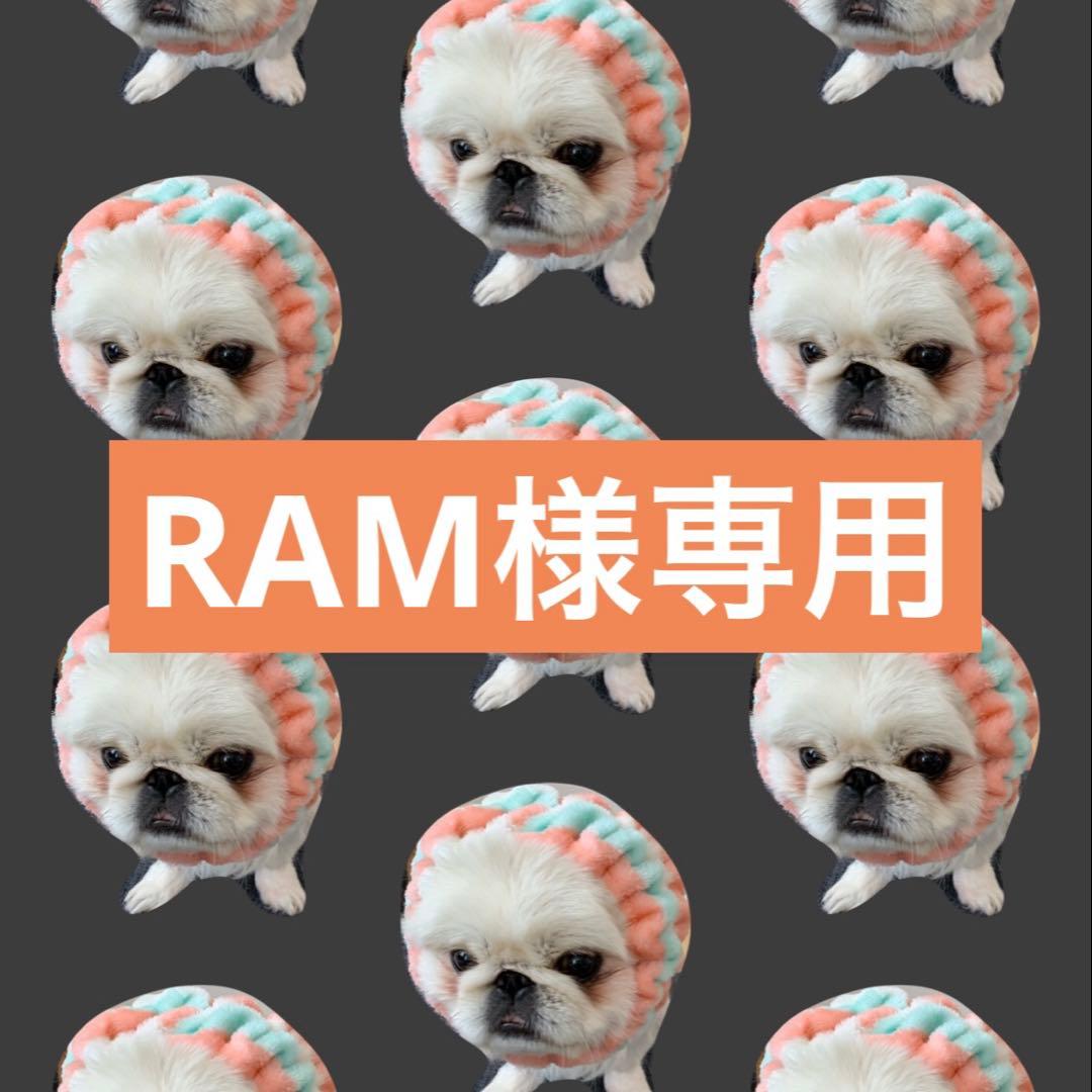 クラフト・布製品 RAM