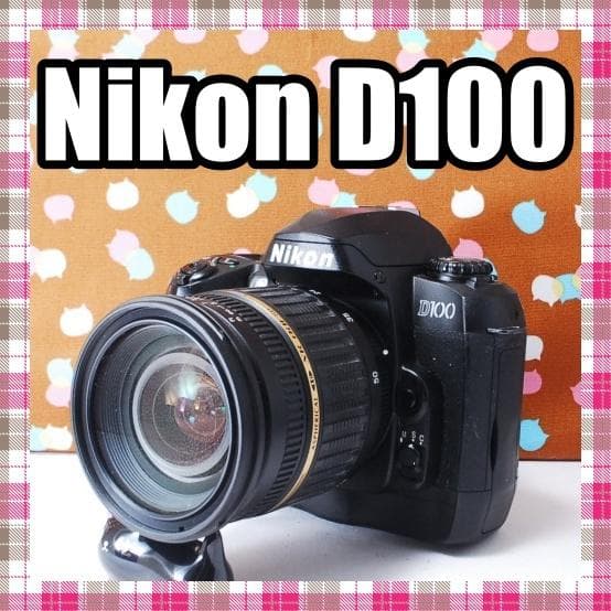 ✨状態良好✨ハイアマチュア機✨Nikon D100 レンズセット