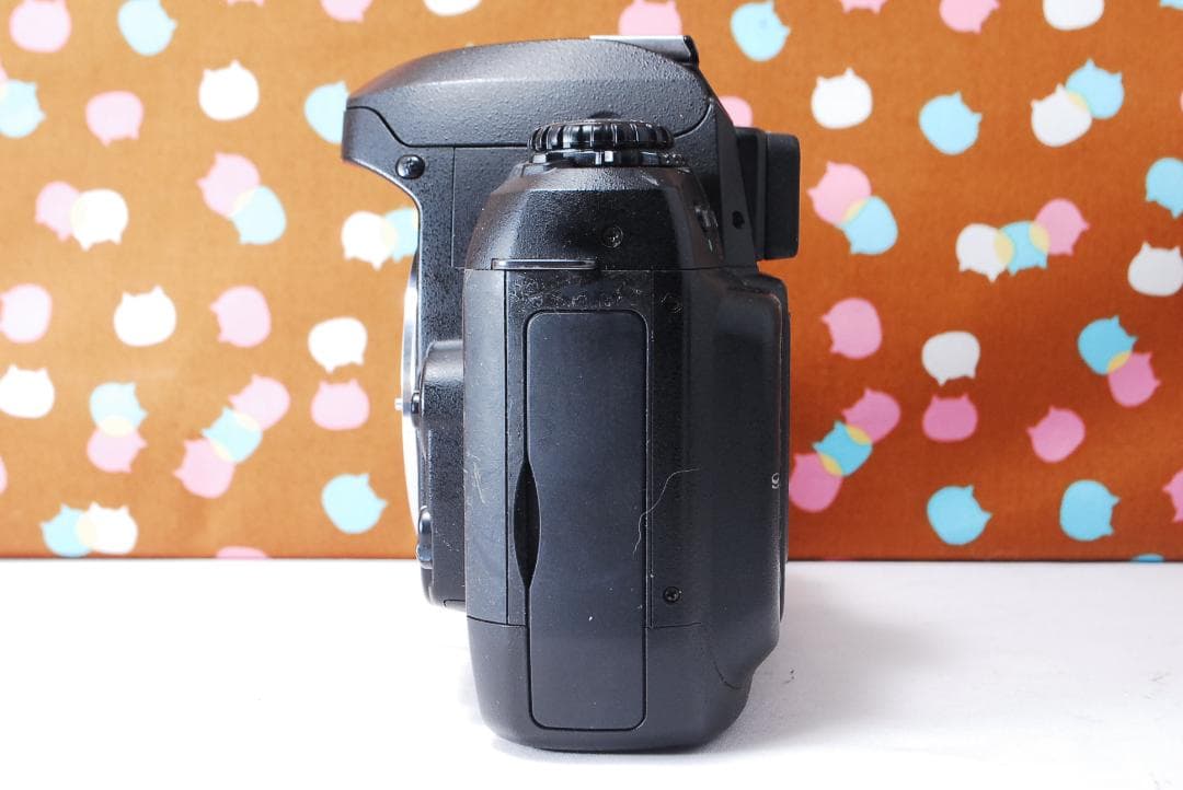 ✨状態良好✨ハイアマチュア機✨Nikon D100 レンズセット