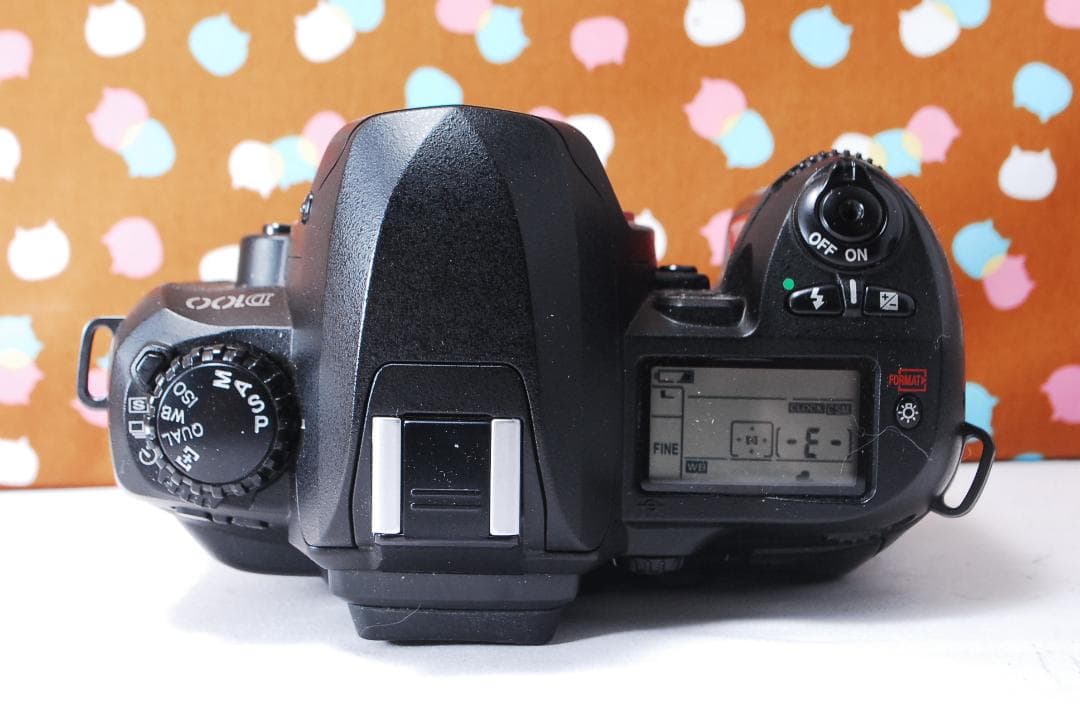 ✨状態良好✨ハイアマチュア機✨Nikon D100 レンズセット