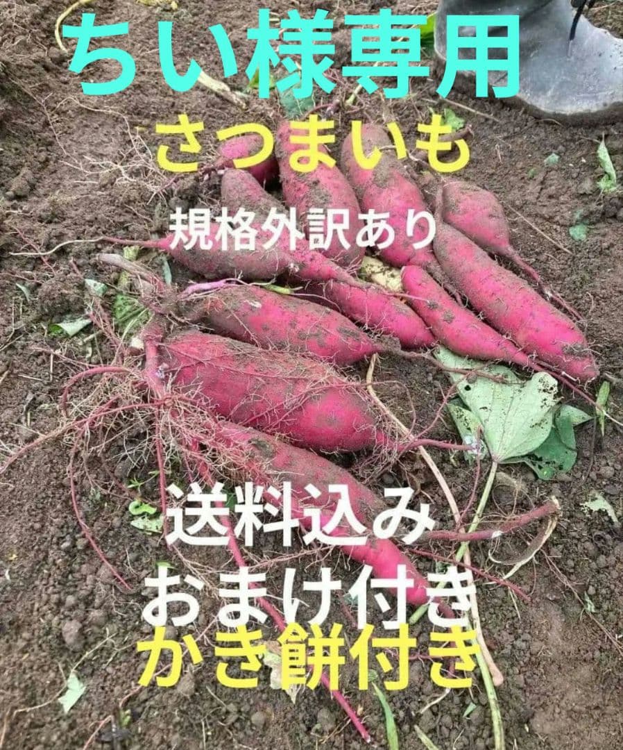 ちい大前さんさつまいも 規格外 送料込み おまけ付き箱込み20㎏以下