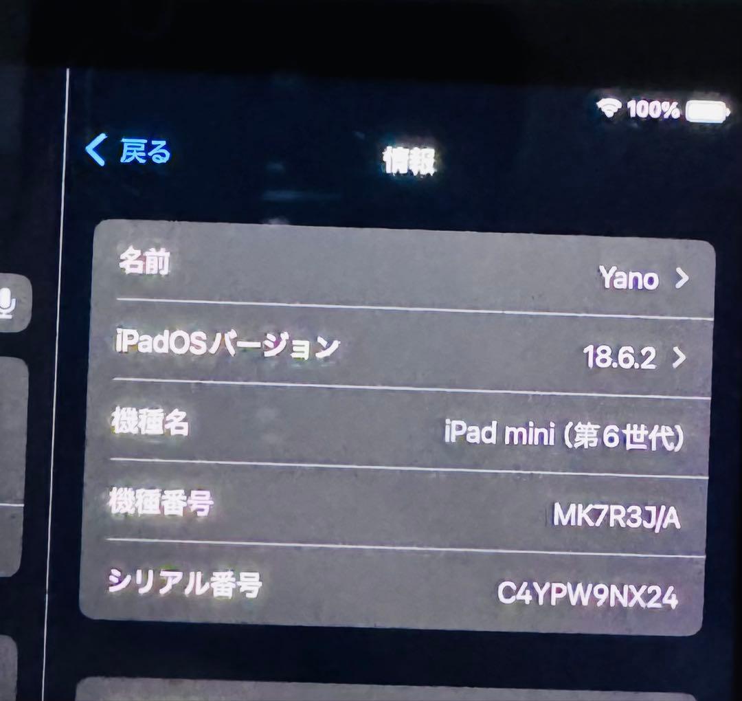 「美品」　Apple iPad mini 6 オマケ付き