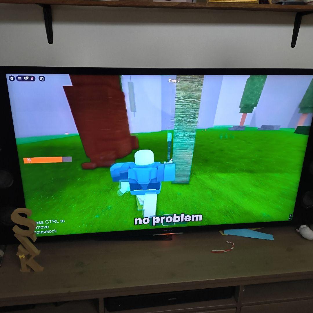 SONY 液晶テレビ 本体