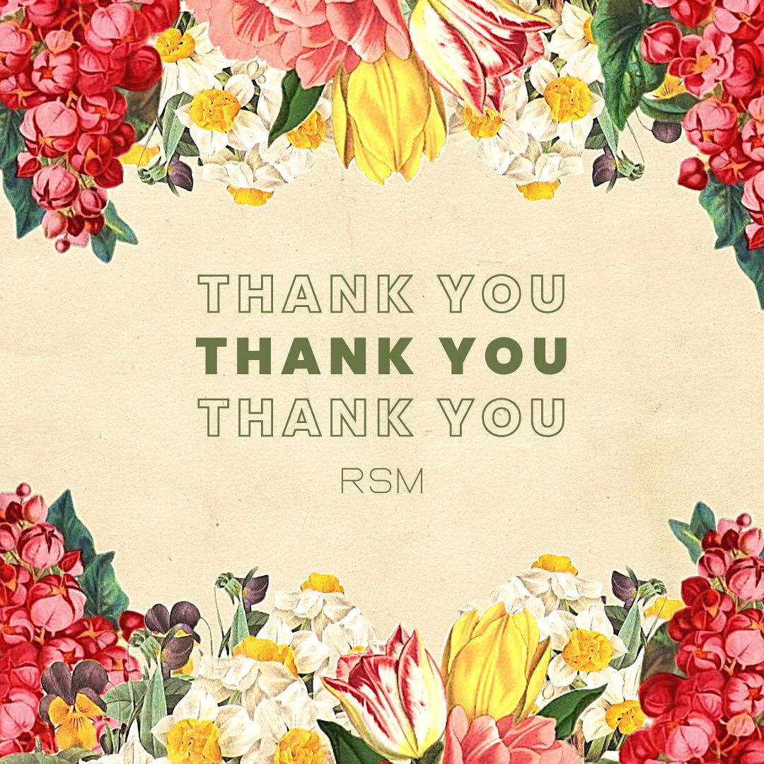 ci502×12セット、ベーシック超先細毛40本×4セット