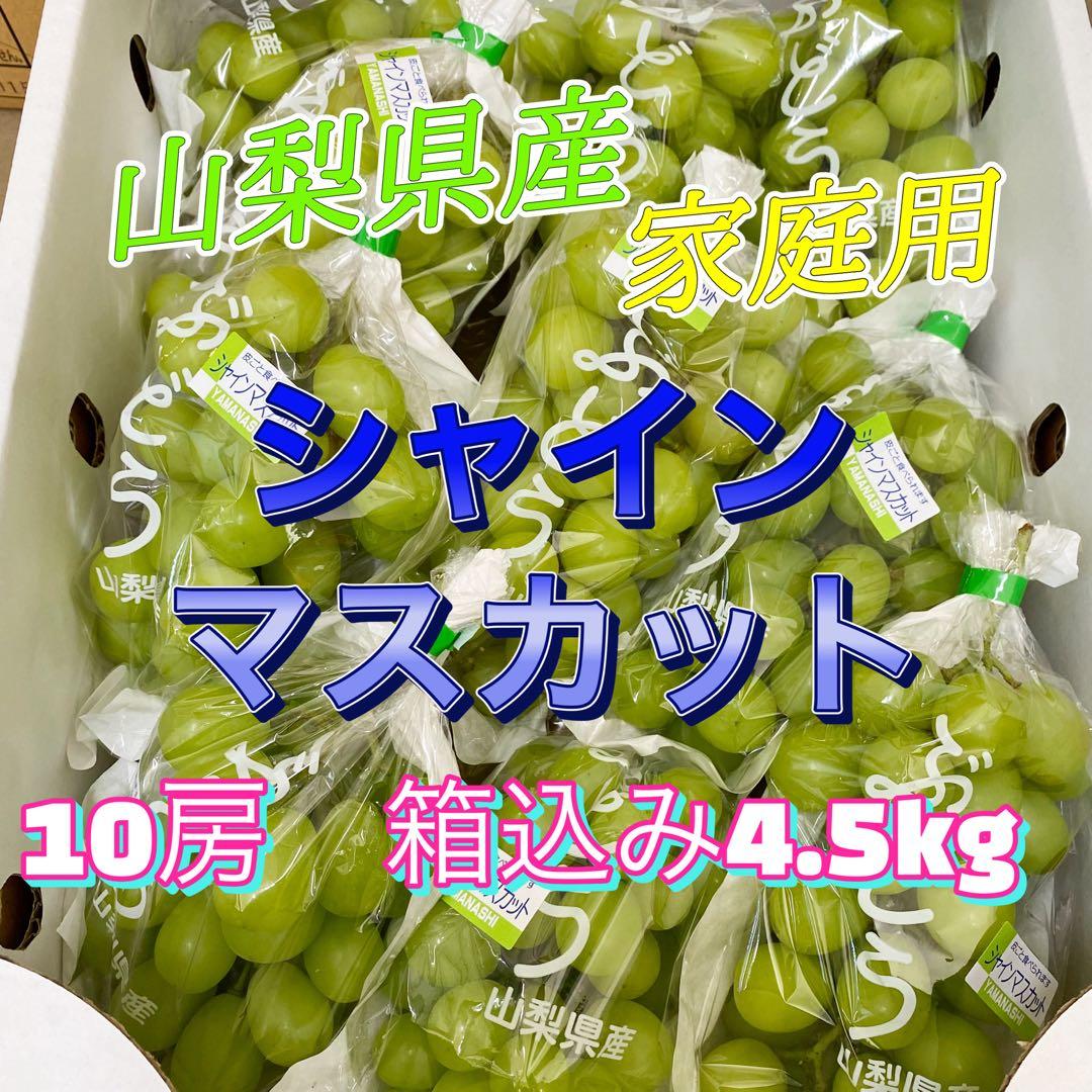 山梨県産　訳あり　家庭用　シャインマスカット　10房　箱込み4.5kg ⑱