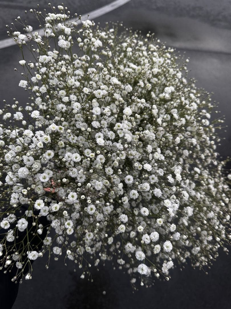 38様 リクエスト 5点 まとめ商品